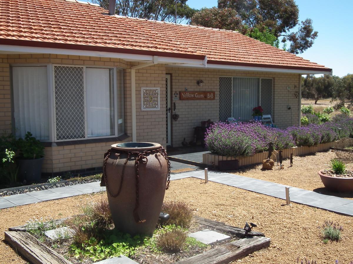 Yellow Gum Bed And Breakfast Katanning Exterior foto
